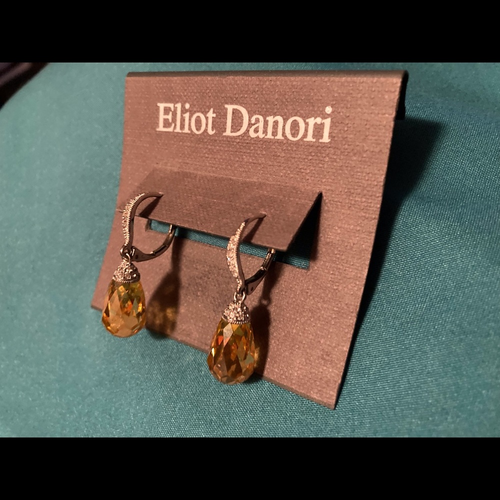 Eliot Danori Earrings